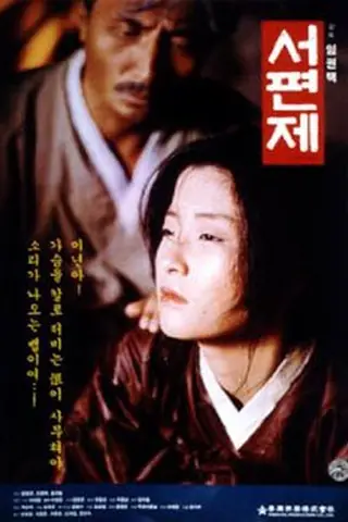 韩国电影《西便制》海报